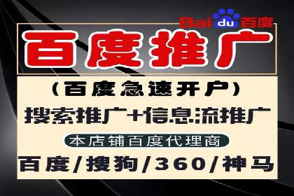 揭秘：成功SEM推广代运营公司案例解析